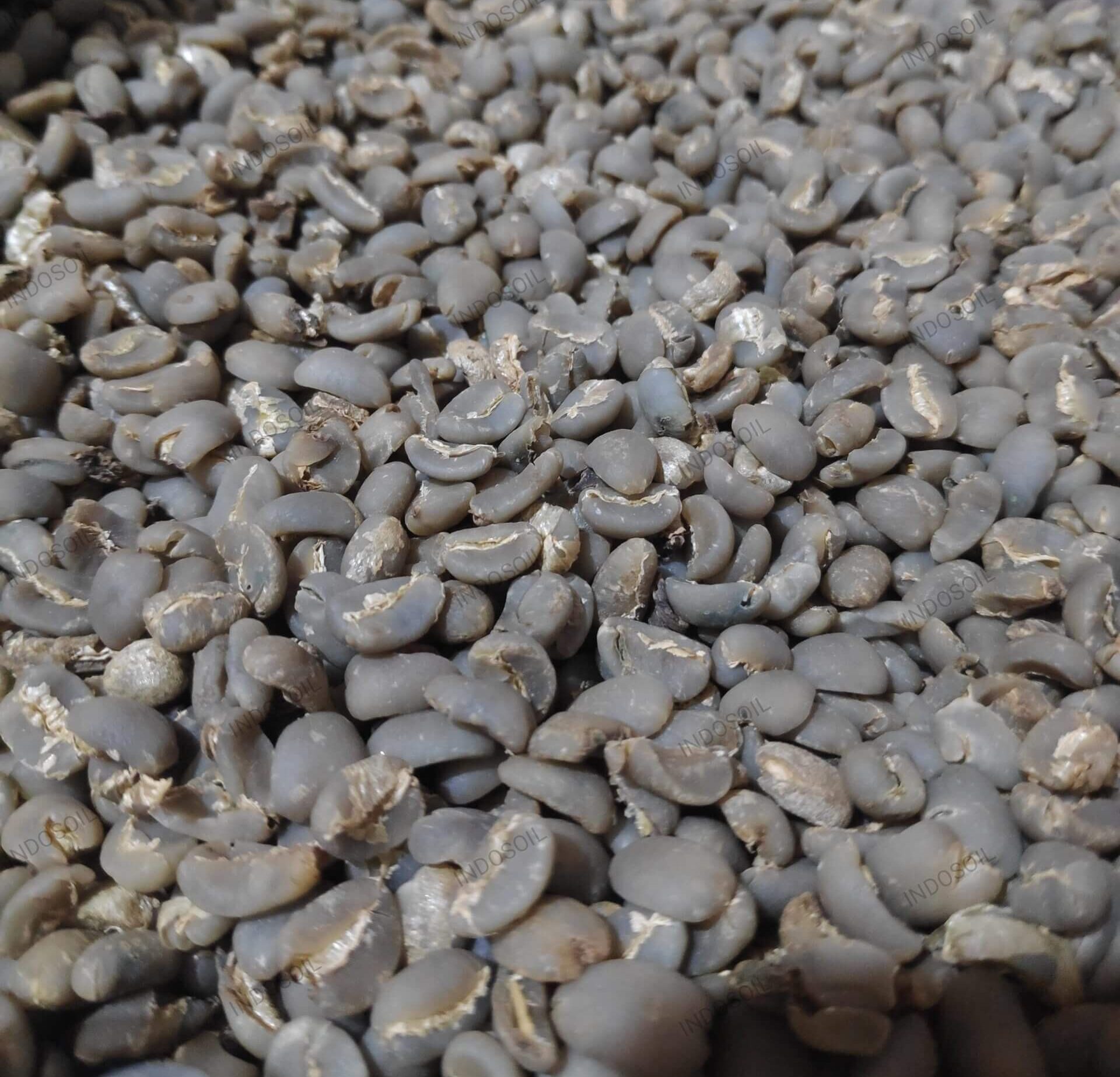 Premium unroasted coffee beans from Indonesia