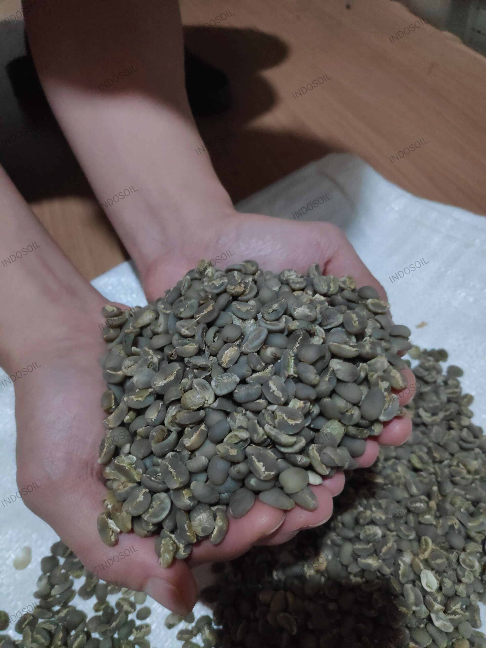 Indonesian green coffee beans for export